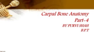 Carpal Bone Anatomy
Part-4
BY PURVI SHAH
B.P.T
 