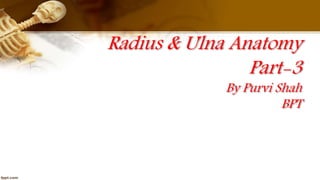 Radius & Ulna Anatomy
Part-3
By Purvi Shah
BPT
 