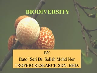 BIODIVERSITY




                BY
  Dato’ Seri Dr. Salleh Mohd Nor
TROPBIO RESEARCH SDN. BHD.
 