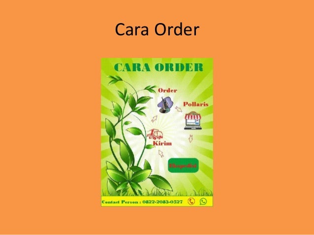 Jual Bibit Kelapa Hibrida Di Bali, Harga Bibit Kelapa Hibrida, Harga