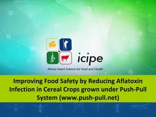 Improving Food Safety by Reducing Aflatoxin
Infection in Cereal Crops grown under Push-Pull
System (www.push-pull.net)
 