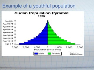 Pushchair or zimmer_frame_victoria