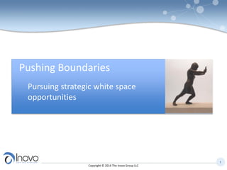 1 
Copyright © 2014 The Inovo Group LLC 
Pushing Boundaries 
Pursuing strategic white space opportunities  