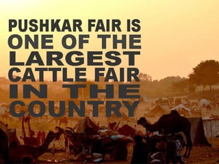 Why you must visit Pushkar Fair, Rajasthan, India