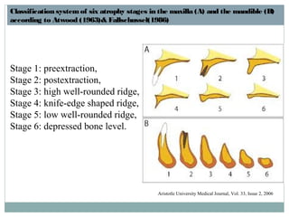 Bone physiology | PPT