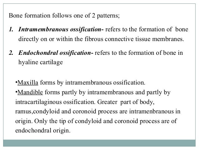 Ossification Definition Anatomy