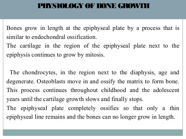 bone physiology once a person reaches adulthood they no longer form new bone