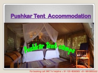 Pushkar Tent Accommodation
For booking call 24X7 hr helpline + 91-120-4556565/ +91-9810893332
 
