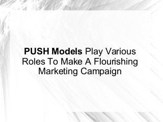 PUSH Models Play Various
Roles To Make A Flourishing
Marketing Campaign
 