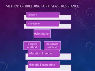 Pushpa Jharia # Breeding for Biotic Stress Resistance ppt. | PPTX