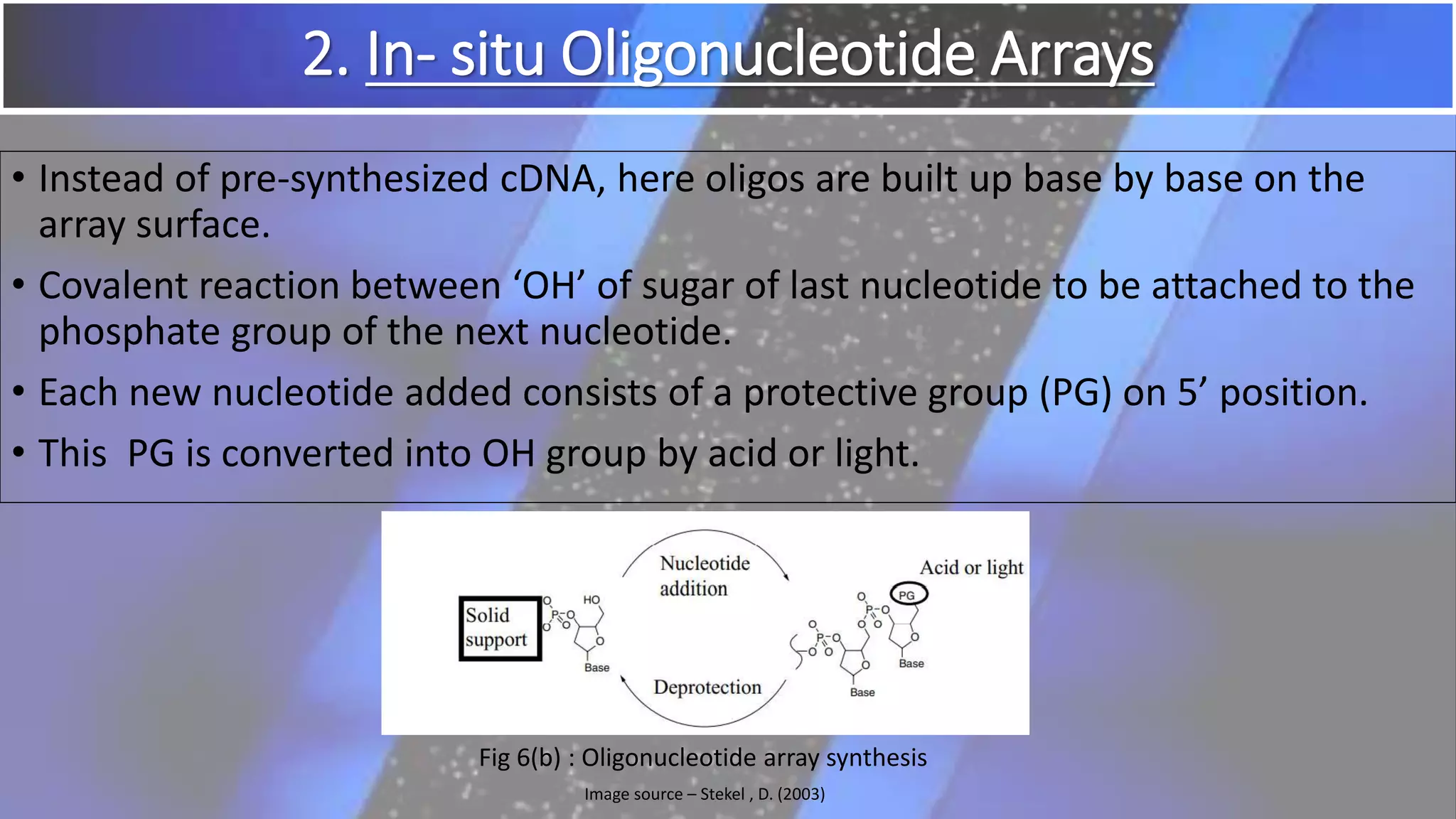 2. In- situ Oligonucleotide Arrays
• Instead of pre-synthesized cDNA, here oligos are built up base by base on the
array surface.
• Covalent reaction between ‘OH’ of sugar of last nucleotide to be attached to the
phosphate group of the next nucleotide.
• Each new nucleotide added consists of a protective group (PG) on 5’ position.
• This PG is converted into OH group by acid or light.
Fig 6(b) : Oligonucleotide array synthesis
Image source – Stekel , D. (2003)
 
