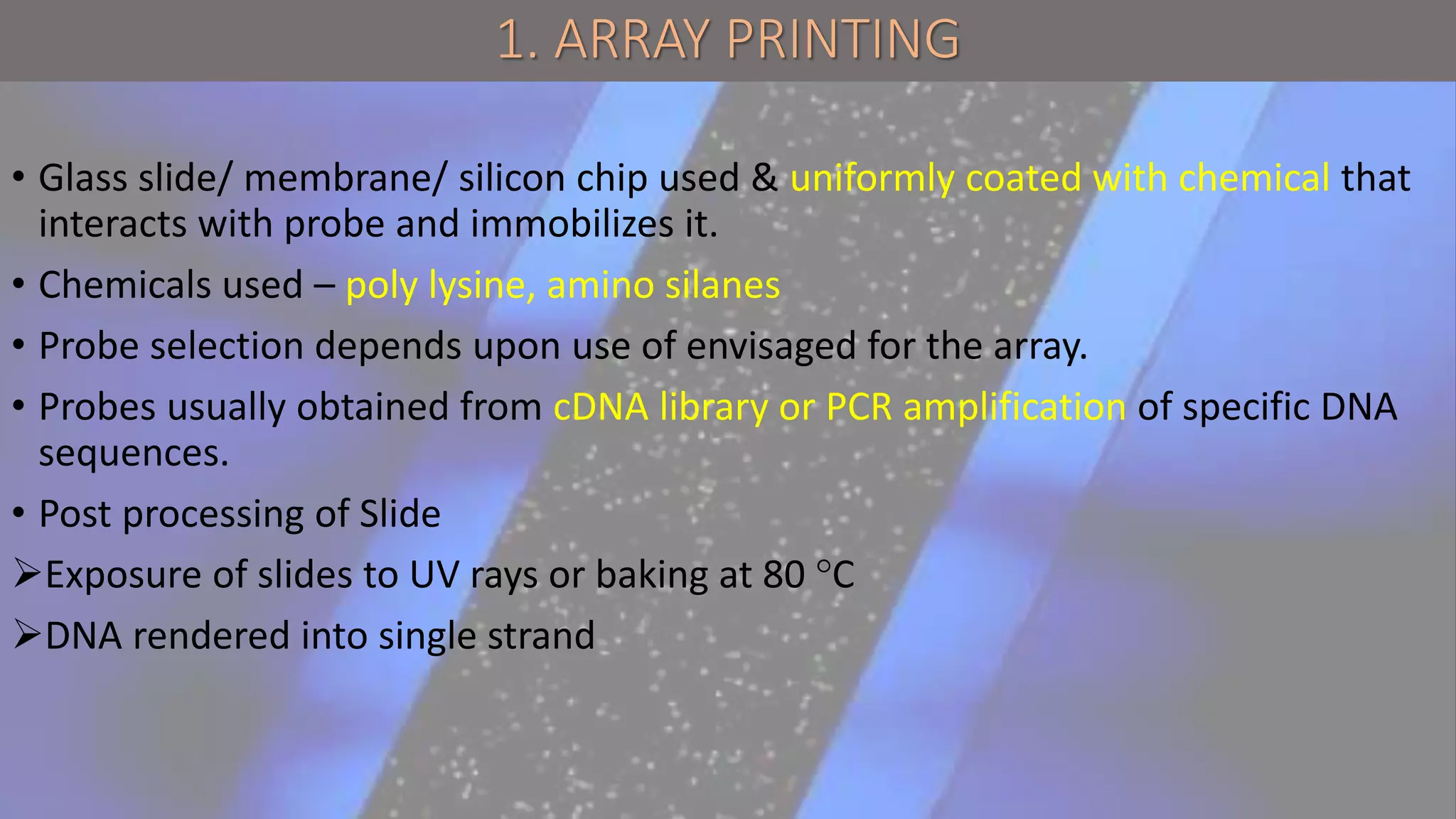 1. ARRAY PRINTING
• Glass slide/ membrane/ silicon chip used & uniformly coated with chemical that
interacts with probe and immobilizes it.
• Chemicals used – poly lysine, amino silanes
• Probe selection depends upon use of envisaged for the array.
• Probes usually obtained from cDNA library or PCR amplification of specific DNA
sequences.
• Post processing of Slide
Exposure of slides to UV rays or baking at 80 °C
DNA rendered into single strand
 