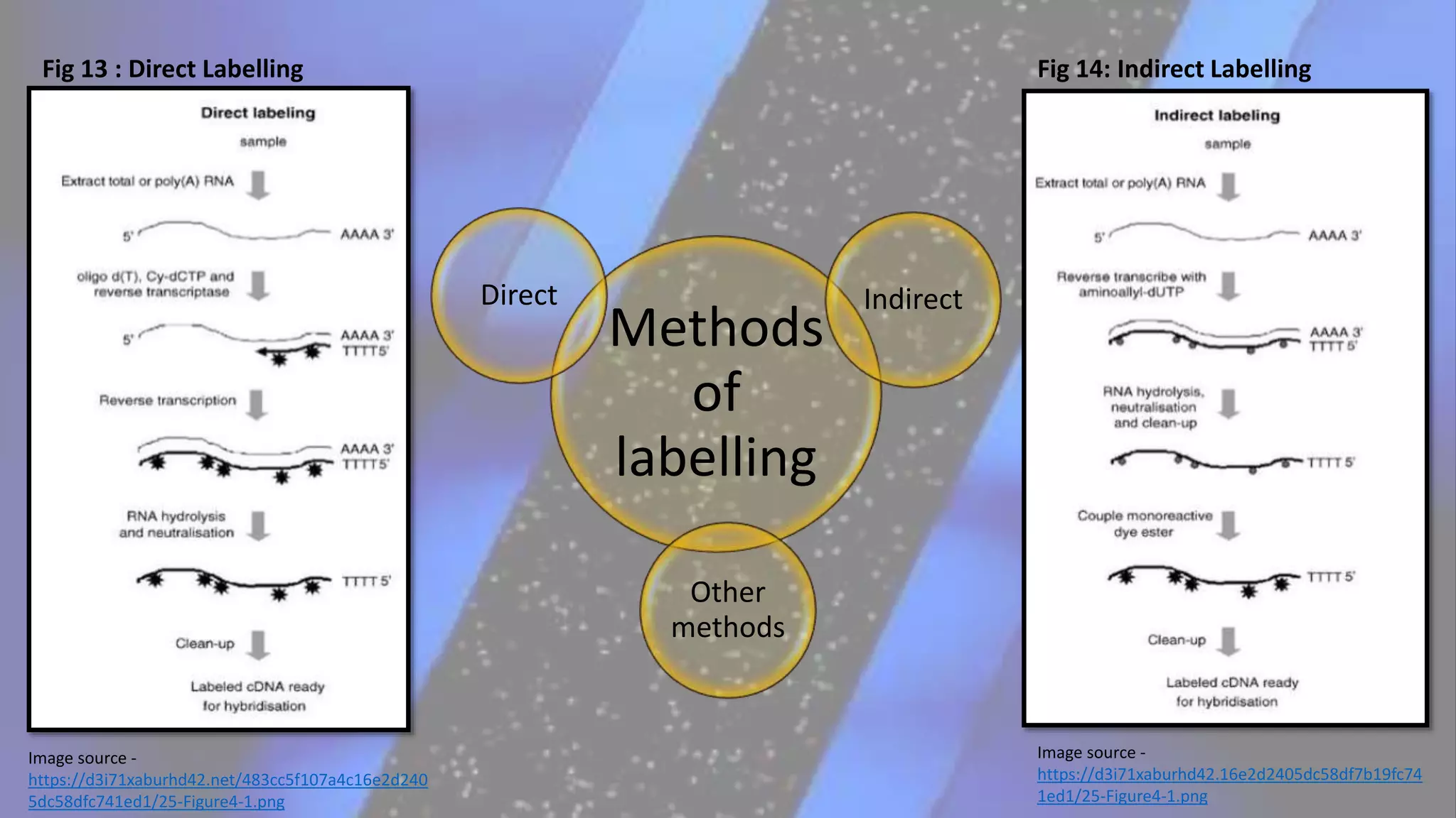 Methods
of
labelling
Direct
Other
methods
Indirect
Fig 13 : Direct Labelling Fig 14: Indirect Labelling
Image source -
https://d3i71xaburhd42.net/483cc5f107a4c16e2d240
5dc58dfc741ed1/25-Figure4-1.png
Image source -
https://d3i71xaburhd42.16e2d2405dc58df7b19fc74
1ed1/25-Figure4-1.png
 