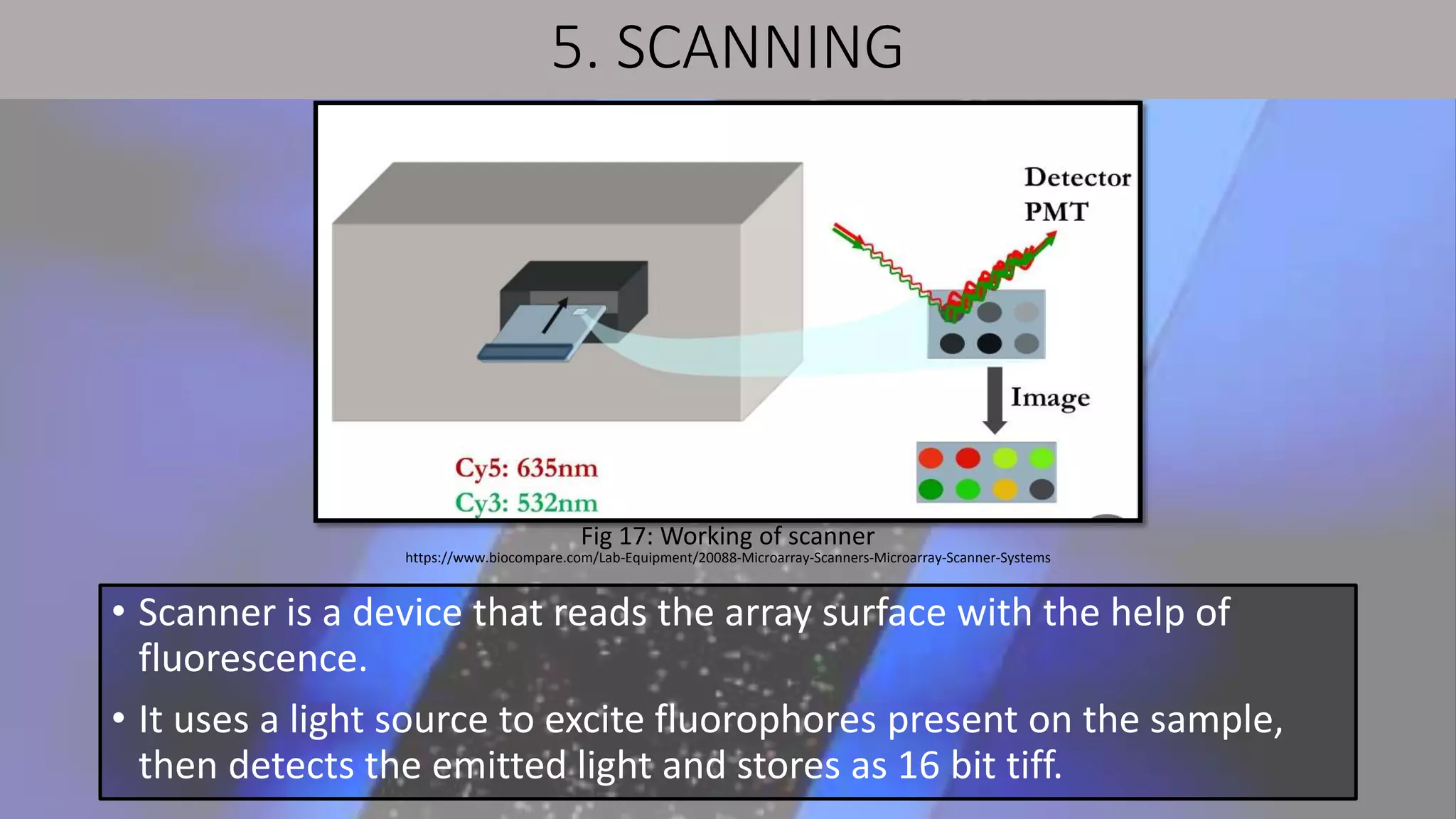 5. SCANNING
• Scanner is a device that reads the array surface with the help of
fluorescence.
• It uses a light source to excite fluorophores present on the sample,
then detects the emitted light and stores as 16 bit tiff.
Fig 17: Working of scanner
https://www.biocompare.com/Lab-Equipment/20088-Microarray-Scanners-Microarray-Scanner-Systems
 
