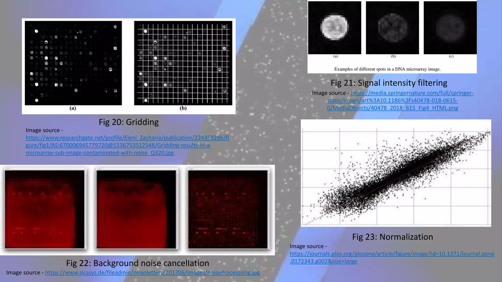Fig 20: Gridding
Fig 21: Signal intensity filtering
Fig 23: Normalization
Image source -
https://journals.plos.org/plosone/article/figure/image?id=10.1371/journal.pone
.0172343.g002&size=large
Fig 22: Background noise cancellation
Image source - https://www.sicasys.de/fileadmin/newsletters/201706/images/noiseProcesssing.jpg
Image source -
https://www.researchgate.net/profile/Eleni_Zacharia/publication/224359286/fi
gure/fig1/AS:670006945779720@1536753512548/Gridding-results-in-a-
microarray-sub-image-contaminated-with-noise_Q320.jpg
Image source - https://media.springernature.com/full/springer-
static/image/art%3A10.1186%2Fs40478-018-0615-
0/MediaObjects/40478_2018_615_Fig4_HTML.png
 