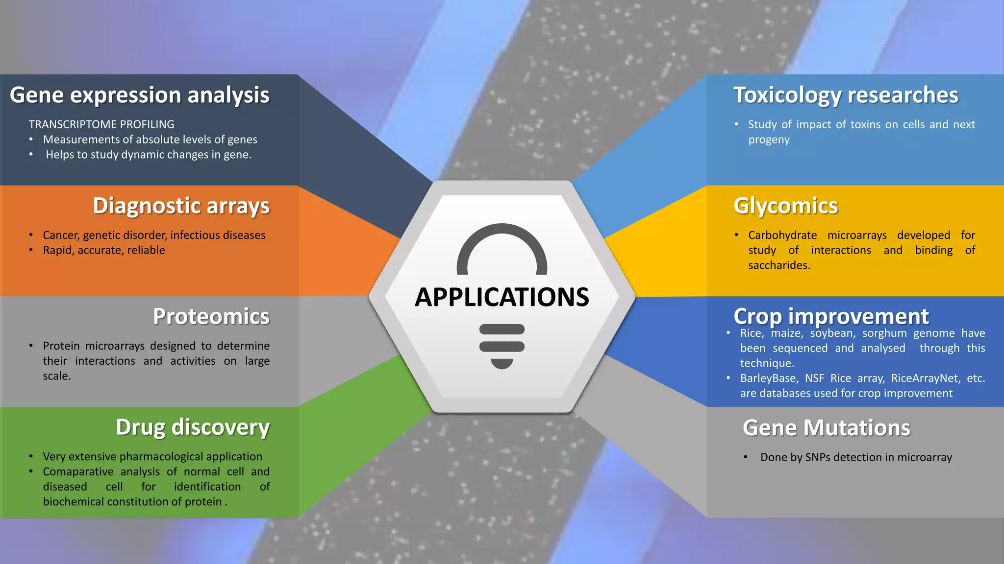 Gene expression analysis
TRANSCRIPTOME PROFILING
• Measurements of absolute levels of genes
• Helps to study dynamic changes in gene.
Diagnostic arrays
• Cancer, genetic disorder, infectious diseases
• Rapid, accurate, reliable
Proteomics
• Protein microarrays designed to determine
their interactions and activities on large
scale.
Drug discovery
• Very extensive pharmacological application
• Comaparative analysis of normal cell and
diseased cell for identification of
biochemical constitution of protein .
Toxicology researches
• Study of impact of toxins on cells and next
progeny
Glycomics
• Carbohydrate microarrays developed for
study of interactions and binding of
saccharides.
Crop improvement
• Rice, maize, soybean, sorghum genome have
been sequenced and analysed through this
technique.
• BarleyBase, NSF Rice array, RiceArrayNet, etc.
are databases used for crop improvement
Gene Mutations
• Done by SNPs detection in microarray
APPLICATIONS
 