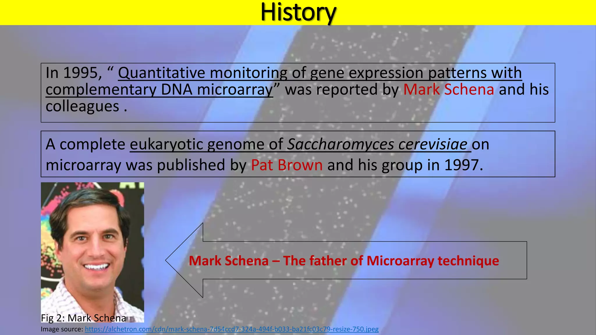 History
In 1995, “ Quantitative monitoring of gene expression patterns with
complementary DNA microarray” was reported by Mark Schena and his
colleagues .
A complete eukaryotic genome of Saccharomyces cerevisiae on
microarray was published by Pat Brown and his group in 1997.
Mark Schena – The father of Microarray technique
Fig 2: Mark Schena
Image source: https://alchetron.com/cdn/mark-schena-7d54ccd7-324a-494f-b033-ba21fc03c79-resize-750.jpeg
 
