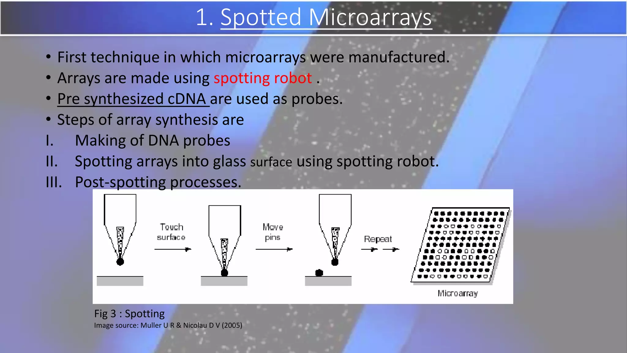1. Spotted Microarrays
• First technique in which microarrays were manufactured.
• Arrays are made using spotting robot .
• Pre synthesized cDNA are used as probes.
• Steps of array synthesis are
I. Making of DNA probes
II. Spotting arrays into glass surface using spotting robot.
III. Post-spotting processes.
Fig 3 : Spotting
Image source: Muller U R & Nicolau D V (2005)
 