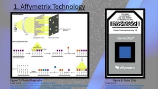 Microarray By Pushpita Saha | PPTX