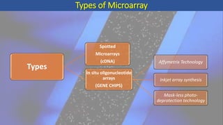 Microarray By Pushpita Saha | PPT