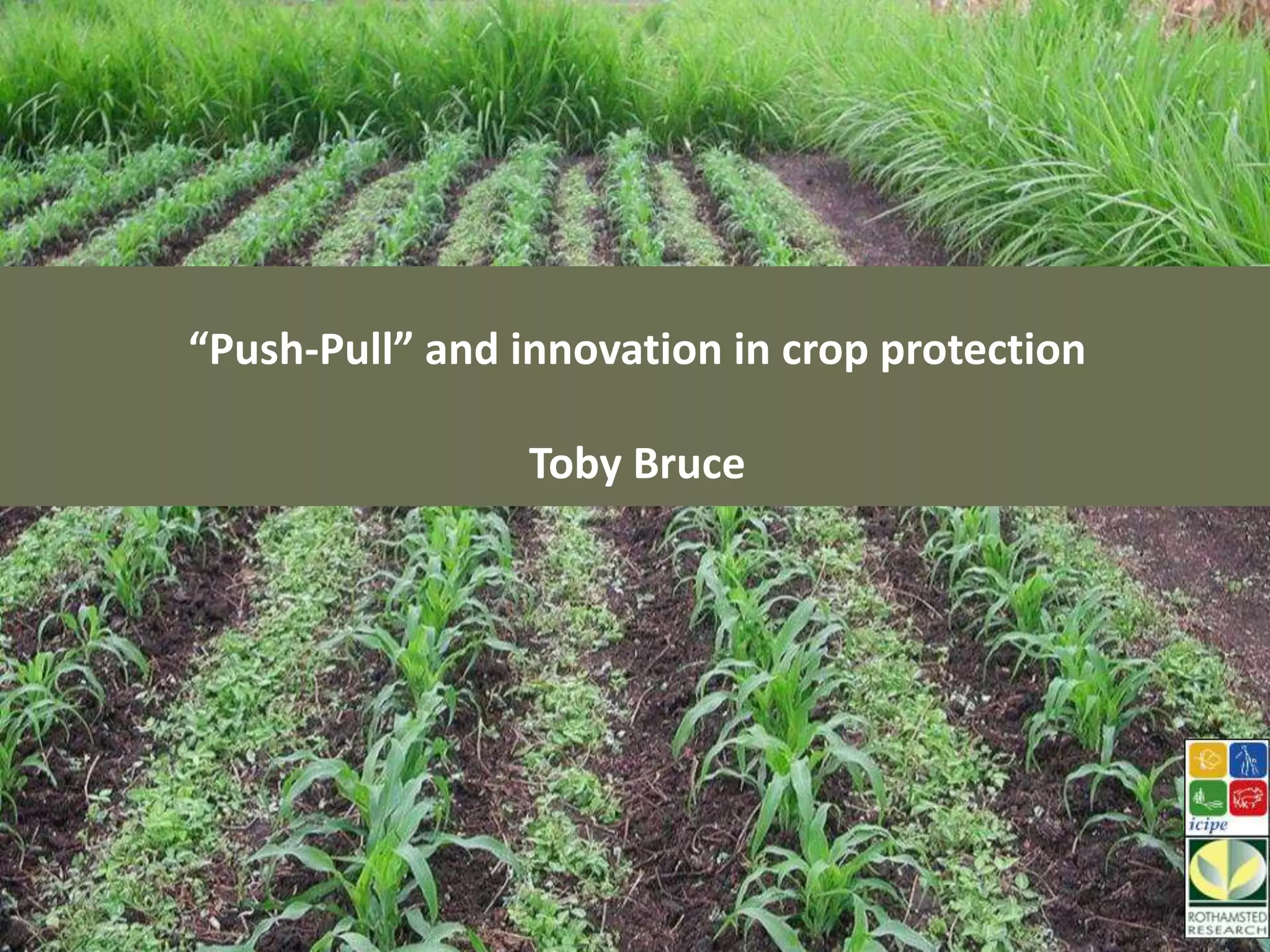 Push-pull companion cropping | PPT