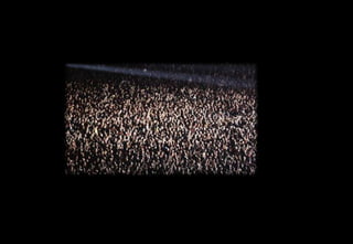 媒介环境嘈杂度Clutterness