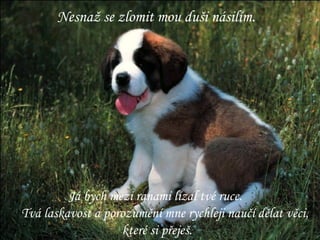 Nesnaž se zlomit mou duši násilím. Já bych mezi ranami lízal tvé ruce.  Tvá laskavost a porozumění mne rychleji naučí dělat věci, které si přeješ. 