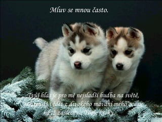 Mluv se mnou často. Tvůj hlas je pro mě nejsladší hudba na světě,  jak musíš vědět z divokého mávání mého ocasu, když zaslechnu Tvoje kroky. 