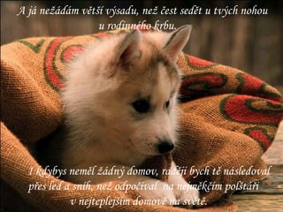 A já nežádám větší výsadu, než čest sedět u tvých nohou u rodinného krbu. I kdybys neměl žádný domov, raději bych tě následoval  přes led a sníh, než odpočíval  na nejměkčím polštáři v nejteplejším domově na světě. 