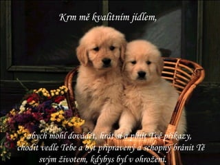 Krm mě kvalitním jídlem,  abych mohl dovádět, hrát si a plnit Tvé příkazy, chodit vedle Tebe a být připravený a schopný bránit Tě svým životem, kdybys byl v ohrožení. 