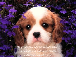 Milovaný pane. Až přijde čas, kdy už nebudu zdravý a nebudu mít radost ze života, nedávej mě od sebe pryč. 