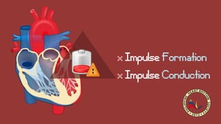 x Impulse Formation
x Impulse Conduction
 