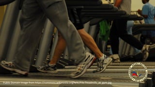 Public Domain Image from https://commons.wikimedia.org/wiki/File:Treadmills_at_gym.jpg
 