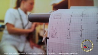 Image from Flickr User Helge V. Keltel: https://www.flickr.com/photos/17088227@N00/7147926407
 