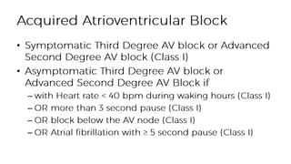 •
•
–
–
–
–
 