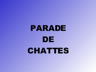 PARADE DE CHATTES 
