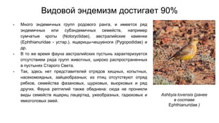 Видовой эндемизм достигает 90%
- Много эндемичных групп родового ранга, и имеется ряд
эндемичных или субэндемичных семейств, например
сумчатые кроты (Notoryctidae), австралийские каменки
(Ephthianuridae - устар.), ящерицы-чешуеноги (Pygopodidae) и
др.
- В то же время фауна австралийских пустынь характеризуется
отсутствием ряда групп животных, широко распространенных
в пустынях Старого Света.
- Так, здесь нет представителей отрядов хищных, копытных,
насекомоядных, зайцеобразных; из птиц отсутствуют отряд
рябков, семейства фазановых, щурковых, вьюрковых и ряд
других. Фауна рептилий также обеднена: сюда не проникли
виды семейств ящериц лацертид, ужеобразных, гадюковых и
ямкоголовых змей.
Ashbyia lovensis (ранее
в составе
Ephthianuridae )
 