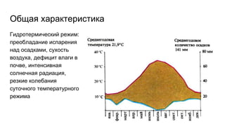 Общая характеристика
Гидротермический режим:
преобладание испарения
над осадками, сухость
воздуха, дефицит влаги в
почве, интенсивная
солнечная радиация,
резкие колебания
суточного температурного
режима
 