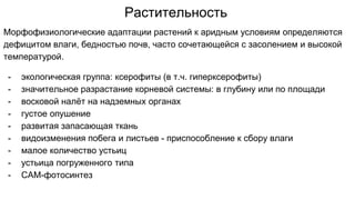 Растительность
Морфофизиологические адаптации растений к аридным условиям определяются
дефицитом влаги, бедностью почв, часто сочетающейся с засолением и высокой
температурой.
- экологическая группа: ксерофиты (в т.ч. гиперксерофиты)
- значительное разрастание корневой системы: в глубину или по площади
- восковой налёт на надземных органах
- густое опушение
- развитая запасающая ткань
- видоизменения побега и листьев - приспособление к сбору влаги
- малое количество устьиц
- устьица погруженного типа
- САМ-фотосинтез
 