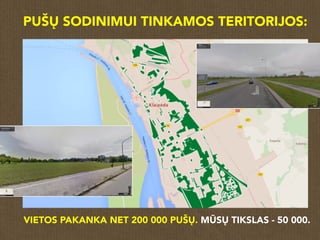 PUŠŲ SODINIMUI TINKAMOS TERITORIJOS:
:
VIETOS PAKANKA NET 200 000 PUŠŲ. MŪSŲ TIKSLAS - 50 000.
 