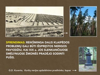 SPRENDIMAS: REIKŠMINGA DALIS KLAIPĖDOS
PROBLEMŲ GALI BŪTI IŠSPRĘSTOS NERIGOS
PAVYZDŽIU, KAI XIX a. JOS SLENKANČIUOSE
SMĖLYNUOSE ŽMONĖS PRADĖJO SODINTI
PUŠIS.
G.D. Kuverto, Kuršių nerijos apželdinimo pradininko, kapas
 