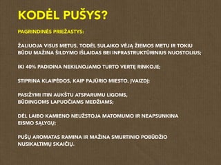 KODĖL PUŠYS?
PAGRINDINĖS PRIEŽASTYS:
ŽALIUOJA VISUS METUS, TODĖL SULAIKO VĖJĄ ŽIEMOS METU IR TOKIU
BŪDU MAŽINA ŠILDYMO IŠLAIDAS BEI INFRASTRUKTŪRINIUS NUOSTOLIUS;
IKI 40% PADIDINA NEKILNOJAMO TURTO VERTĘ RINKOJE;
STIPRINA KLAIPĖDOS, KAIP PAJŪRIO MIESTO, ĮVAIZDĮ;
PASIŽYMI ITIN AUKŠTU ATSPARUMU LIGOMS,
BŪDINGOMS LAPUOČIAMS MEDŽIAMS;
DĖL LAIBO KAMIENO NEUŽSTOJA MATOMUMO IR NEAPSUNKINA
EISMO SĄLYGŲ;
PUŠŲ AROMATAS RAMINA IR MAŽINA SMURTINIO POBŪDŽIO
NUSIKALTIMŲ SKAIČIŲ.
 