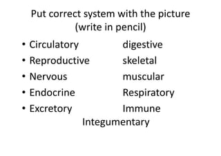Put Correct System With The Picture (Write In Pencil)