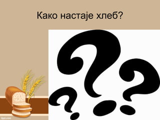 Како настаје хлеб?
 