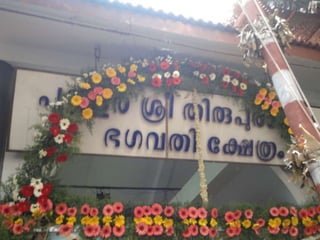 Puthur vela 2012