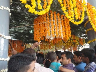 Puthur vela 2012