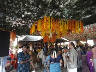 Puthur vela 2012
