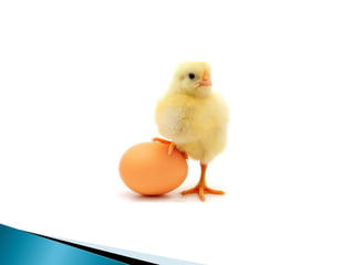 Unity Camera & Simple Image Editing by Puthut