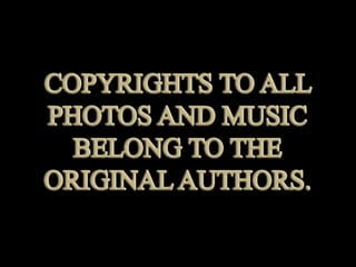 Putin. caricatures (v.m.)