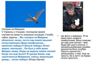 • Це фото з майдану. Я не
можу його назвати
символічним. Воно знакове,
це нам усім сигнал - мир
буде! До цього хлопця, з
засмальцьованими руками,
прилетіла біла голубка.
Просто прилетіла і
залишилась з ним. Але не
просто, бо в житті не буває
нічого простого..
Сегодня на Майдане.
У Украины с птицами, последнее время
случаются какие-то знаковые ситуации. Голуби,
чайки, вороны... Мы сегодня на Майдане
обомлели: низко, почти над самой крышей
полусгоревшего Дома профсоюзов...
пролетел лебедь!!! Белый лебедь! Летел
мирно, неспешно... Он был у себя дома.
Майдан замер. Люди не верили своим глазам!
Когда это еще было? В центре Киева, над
закопченным Майданом, сквозь моросящий
дождь... летел лебедь! (Игорь Юрчак)
 